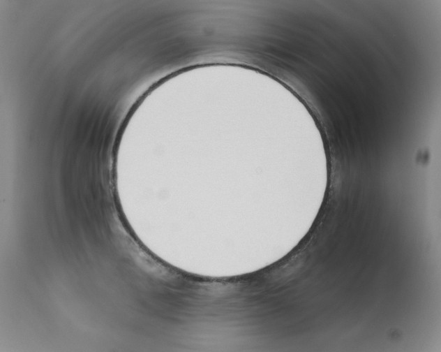 X0000111880996200909031836