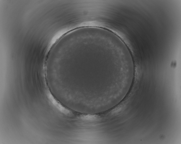 X0000111880998200909031836