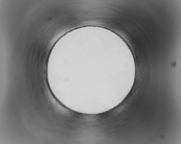 X0000111880999200909031836