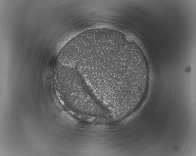 X0000111881001200909031836