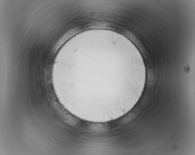 X0000111881002200909031836