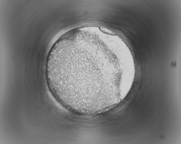X0000111881005200909031836