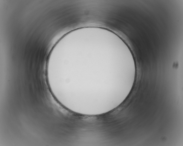 X0000111881006200909031836