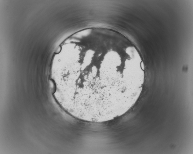 X0000111881007200909031836