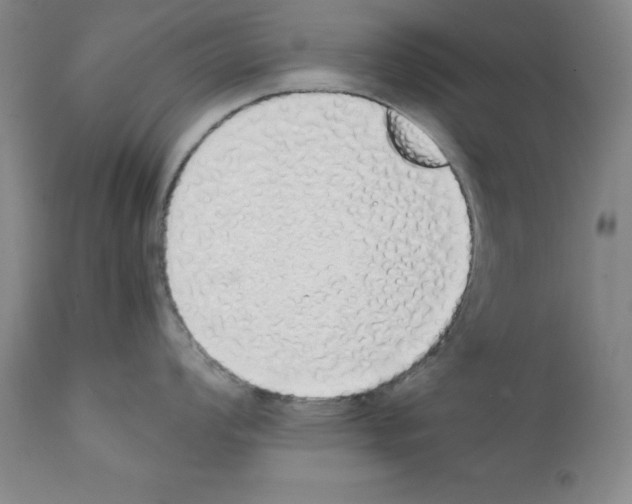 X0000111881008200909031836