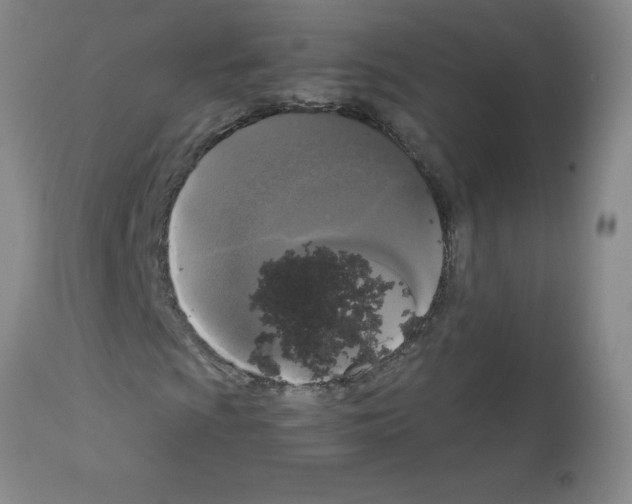 X0000111881009200909031835