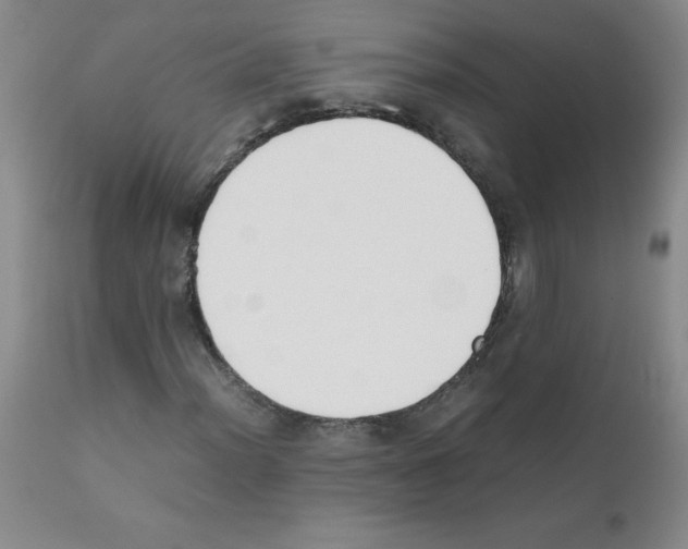 X0000111881012200909031835