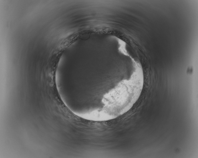 X0000111881013200909031835