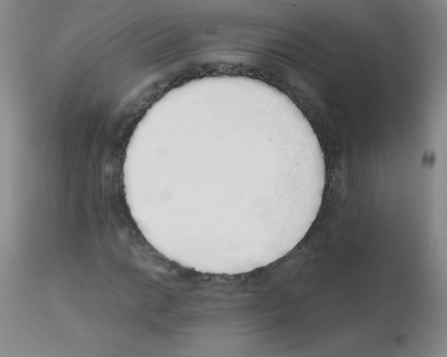 X0000111881014200909031835