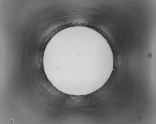 X0000111881015200909031835