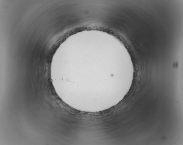 X0000111881016200909031835