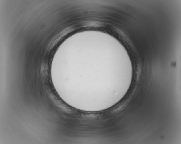 X0000111881017200909031835