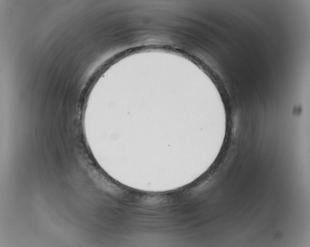 X0000111881021200909031835