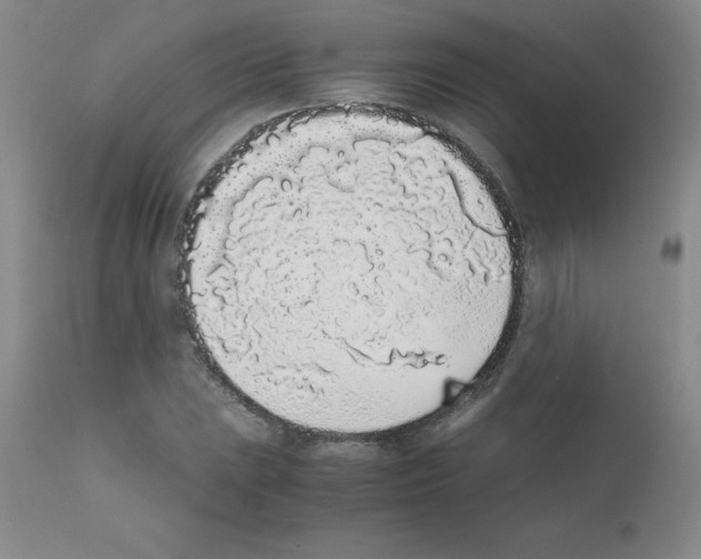 X0000111881023200909031835