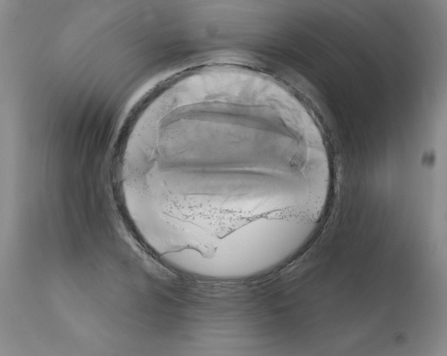 X0000111881024200909031835