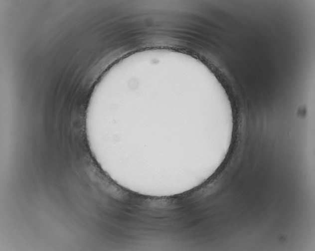 X0000111881025200909031835