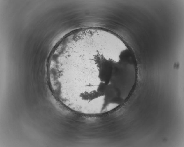 X0000111881031200909031835