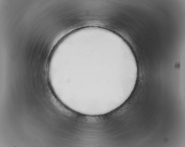 X0000111881032200909031835