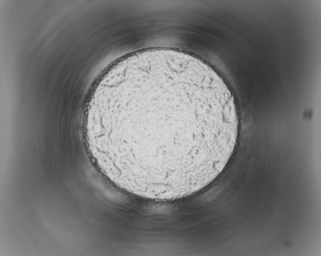 X0000111881035200909031835