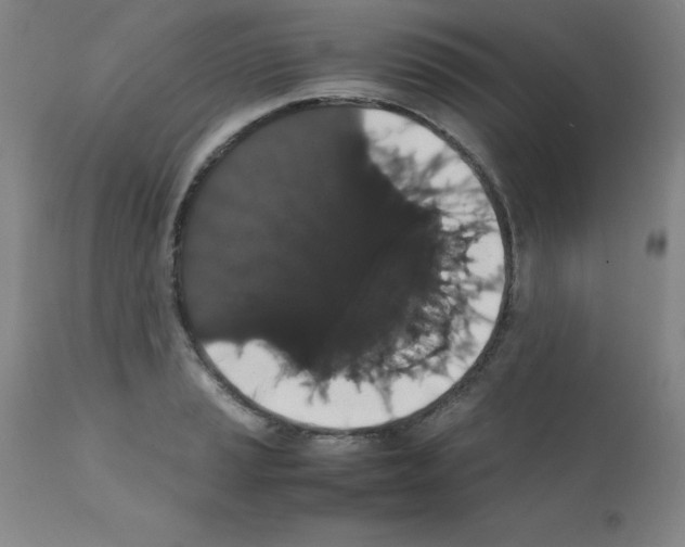 X0000111881037200909031835
