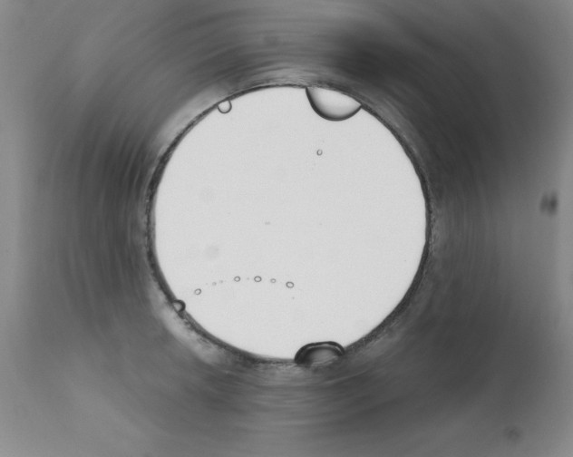 X0000111881042200909031835