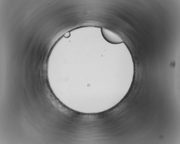 X0000111881044200909031835