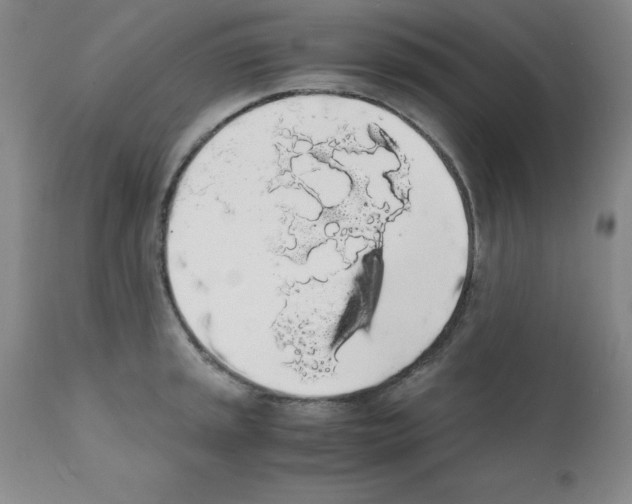 X0000111881045200909031835