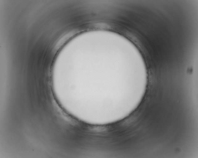 X0000111881047200909031835