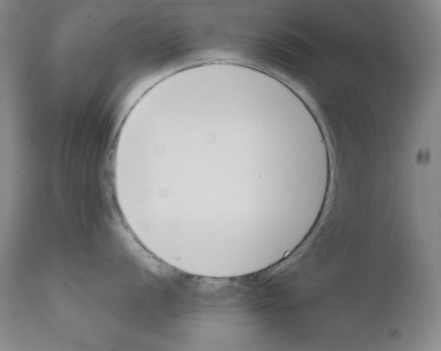 X0000111881056200909031836