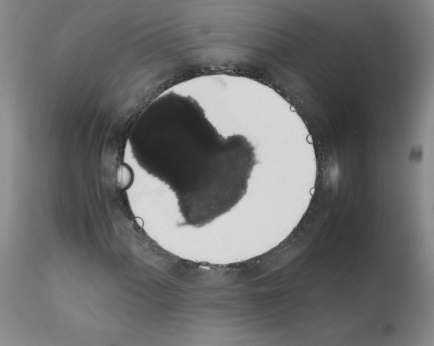 X0000111881060200909031835