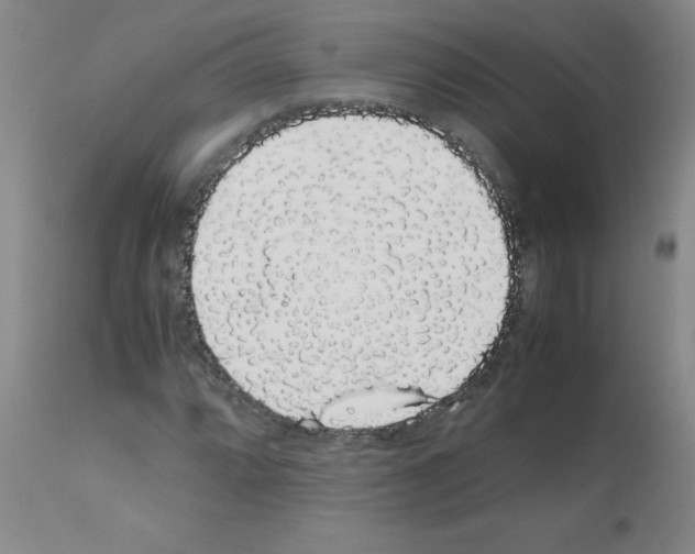 X0000111881064200909031835