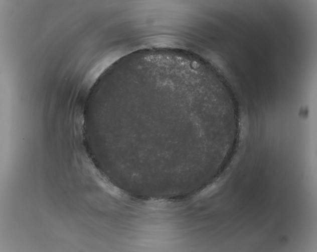 X0000111881065200909031835