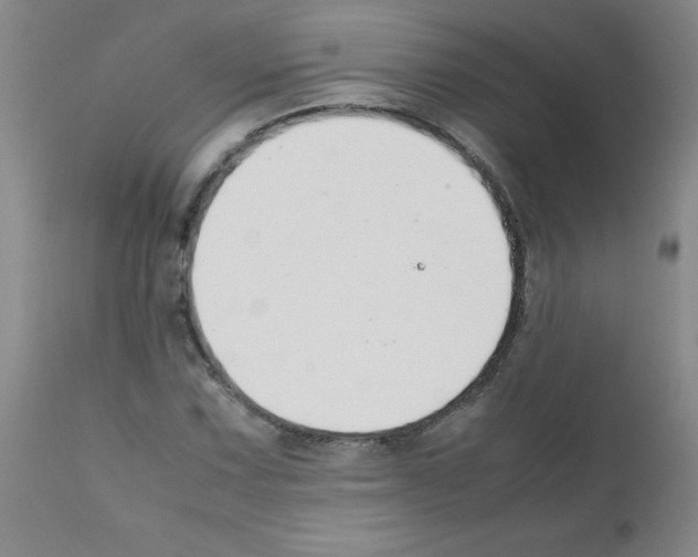 X0000111881067200909031835