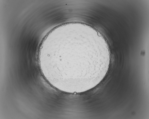 X0000111881068200909031835