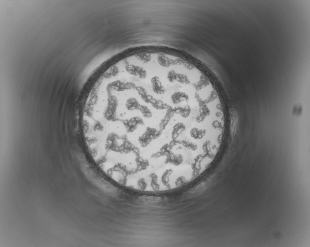 X0000111881069200909031835