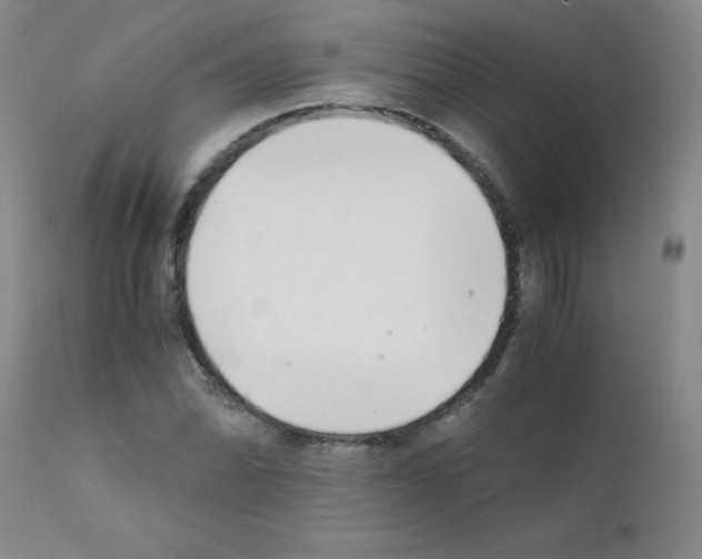 X0000111881070200909031835