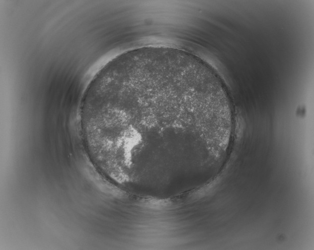 X0000111881074200909031835