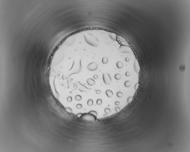 X0000111881076200909031835