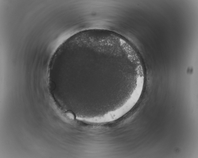 X0000111881077200909031835