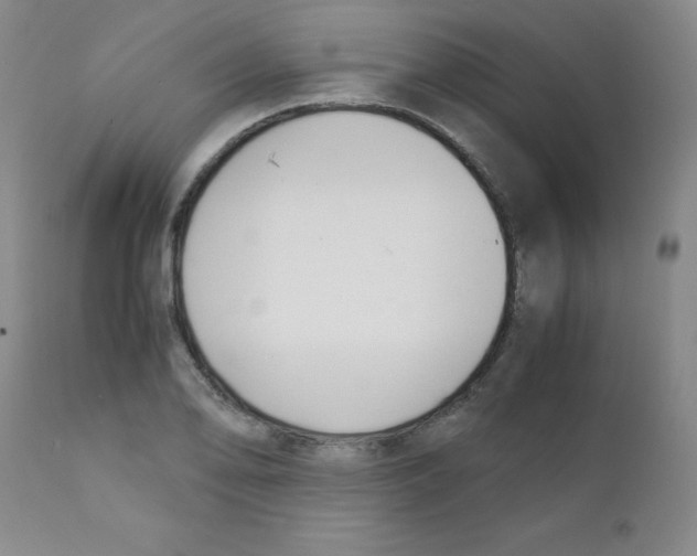 X0000111881078200909031835