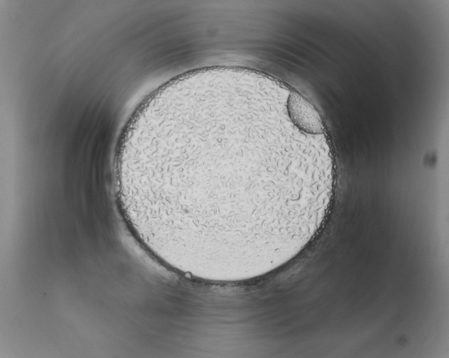 X0000111881080200909031835