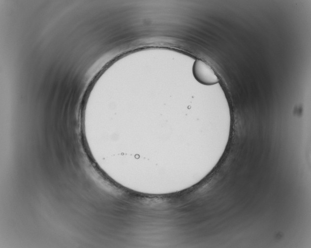 X0000111881082200909031835