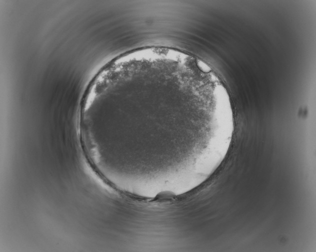 X0000111881084200909031835