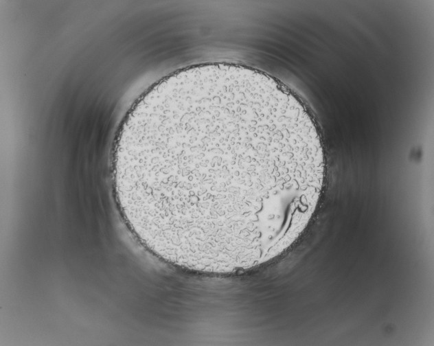 X0000111881088200909031834