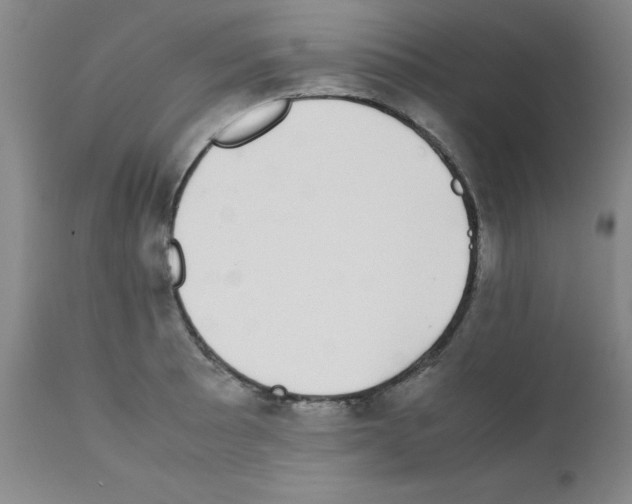 X0000111881089200909031834