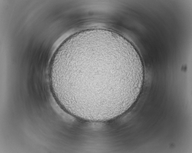 X0000111881090200909031834