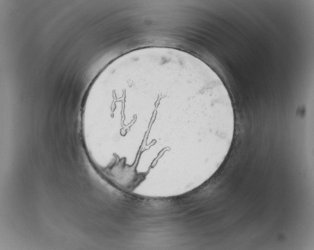 X0000111881095200909031834