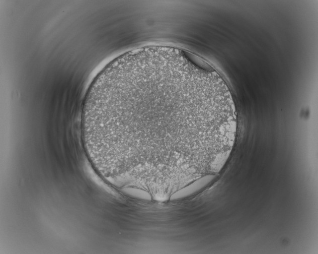 X0000111881100200909031834