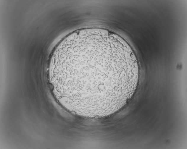X0000111881101200909031834