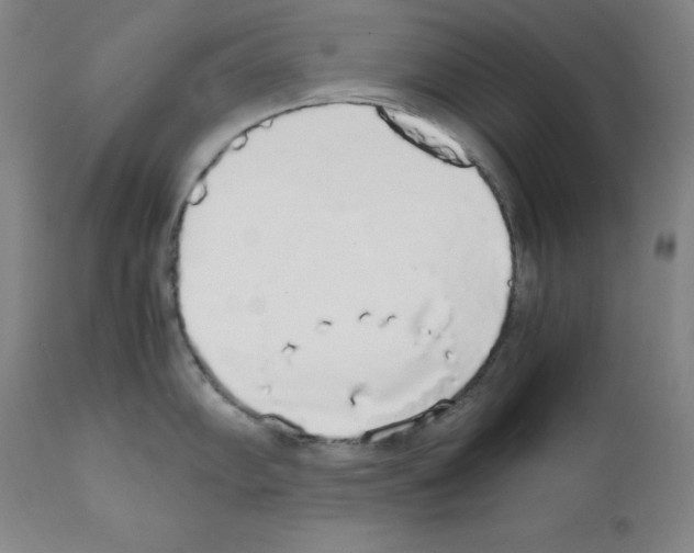 X0000111881102200909031834